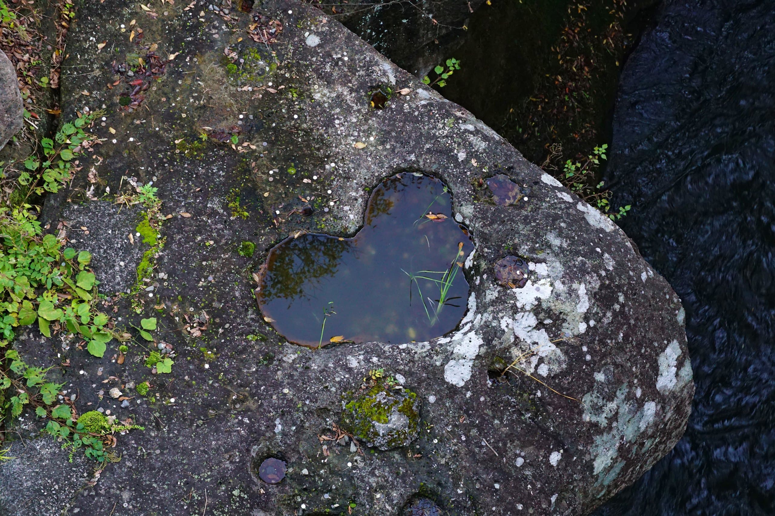 A heart-shaped hollow filled with rainwater in a boulder above Rairaikyo gorge