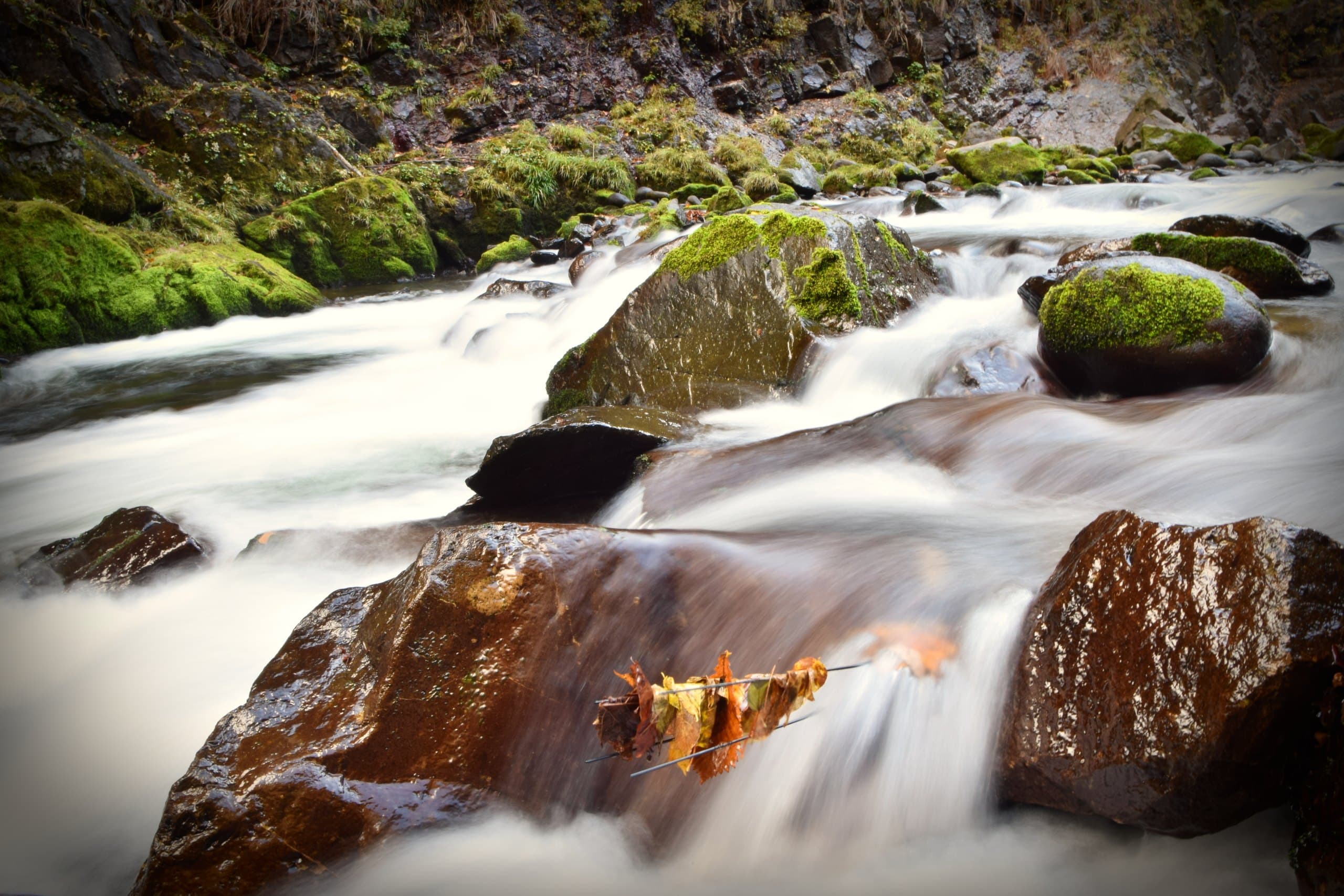 Water rushing over mossy boulders with fallen autumn leaves, near Akiu Great Falls