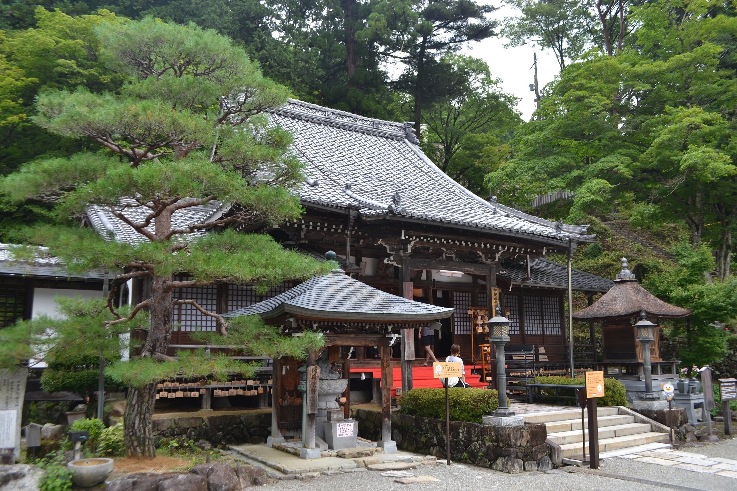 Tiled temple roofs and pines at Onsen-ji, the temple above Gero's hot springs