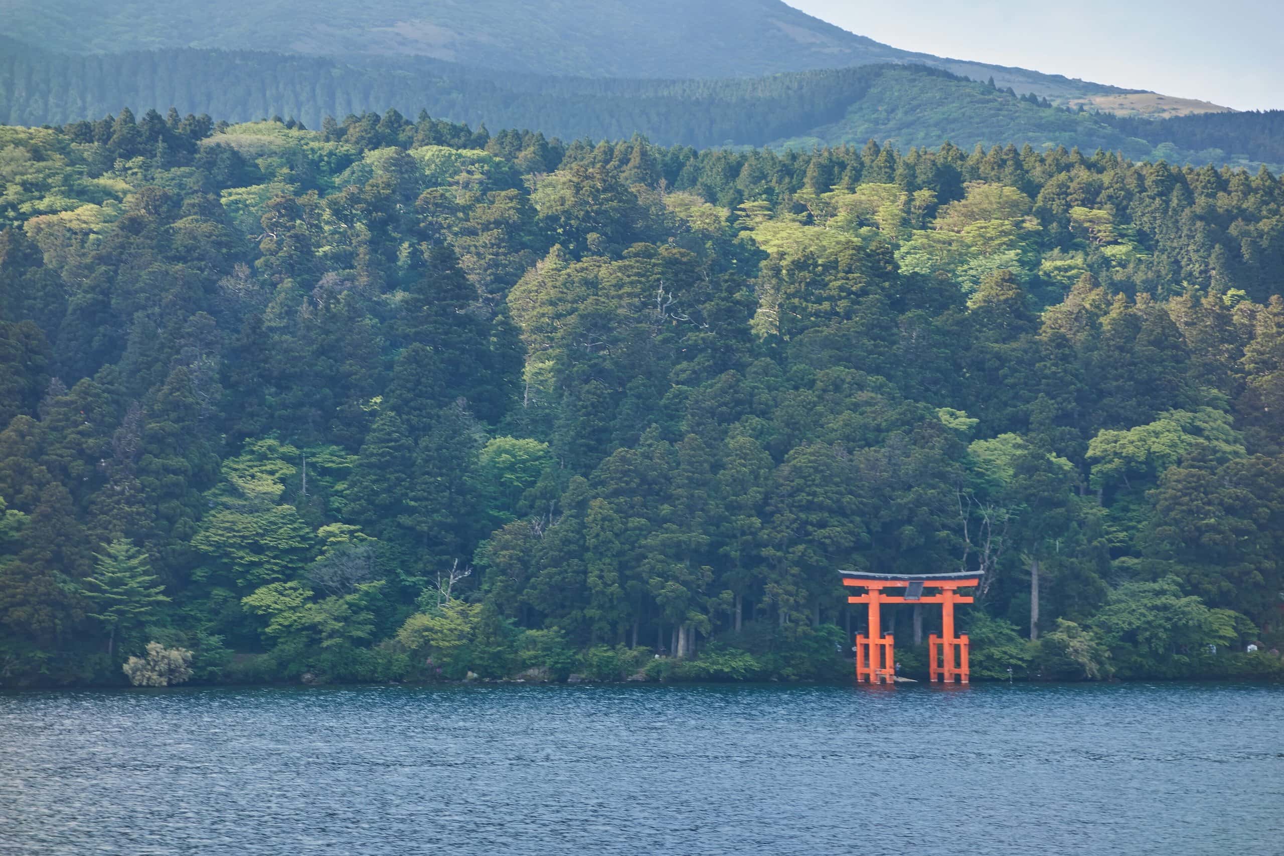 Vermilion torii gate standing in Lake Ashi before dense forest