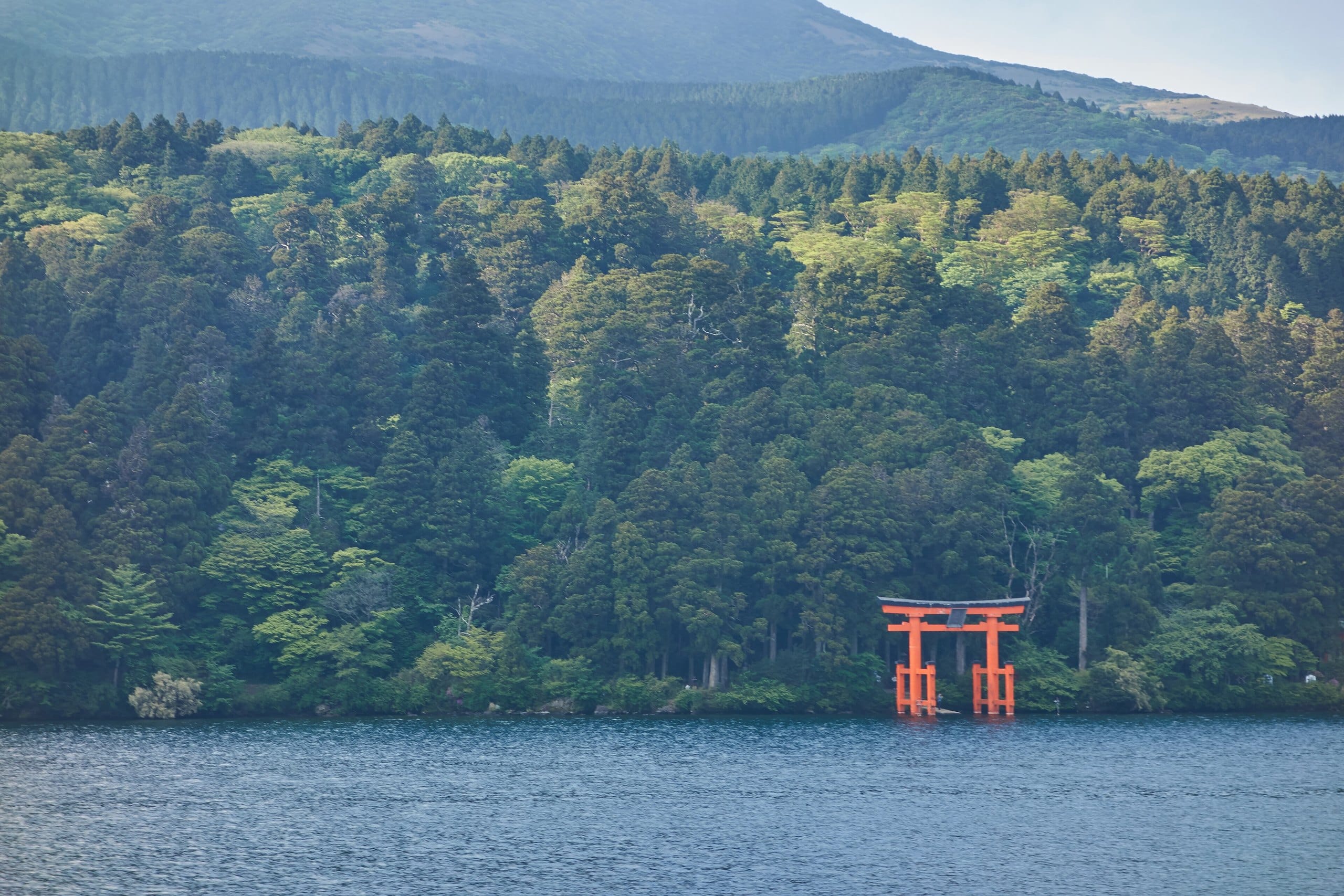 Vermilion torii gate standing in Lake Ashi before dense forest