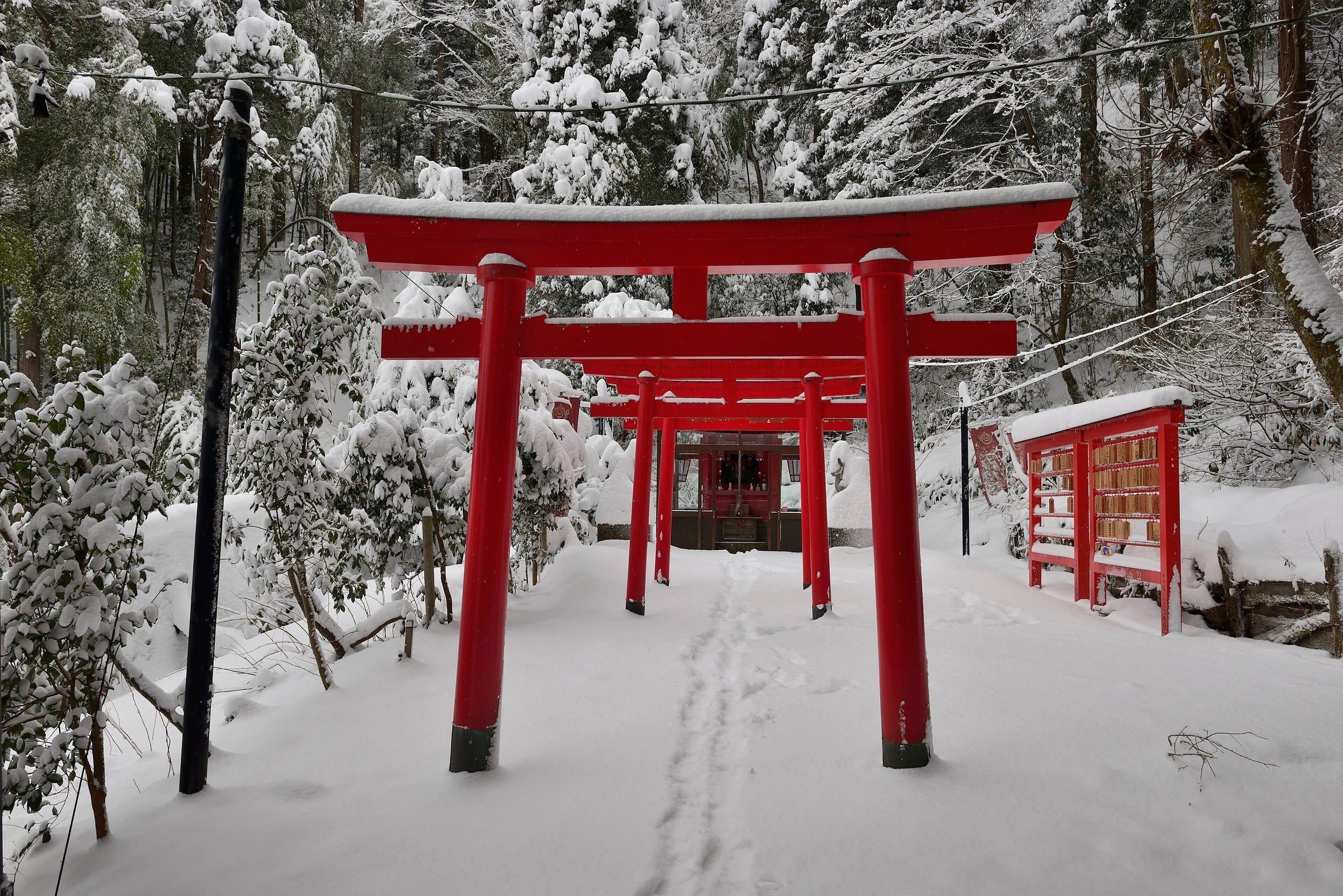 A row of vermilion torii gates leading through deep snow to a small shrine