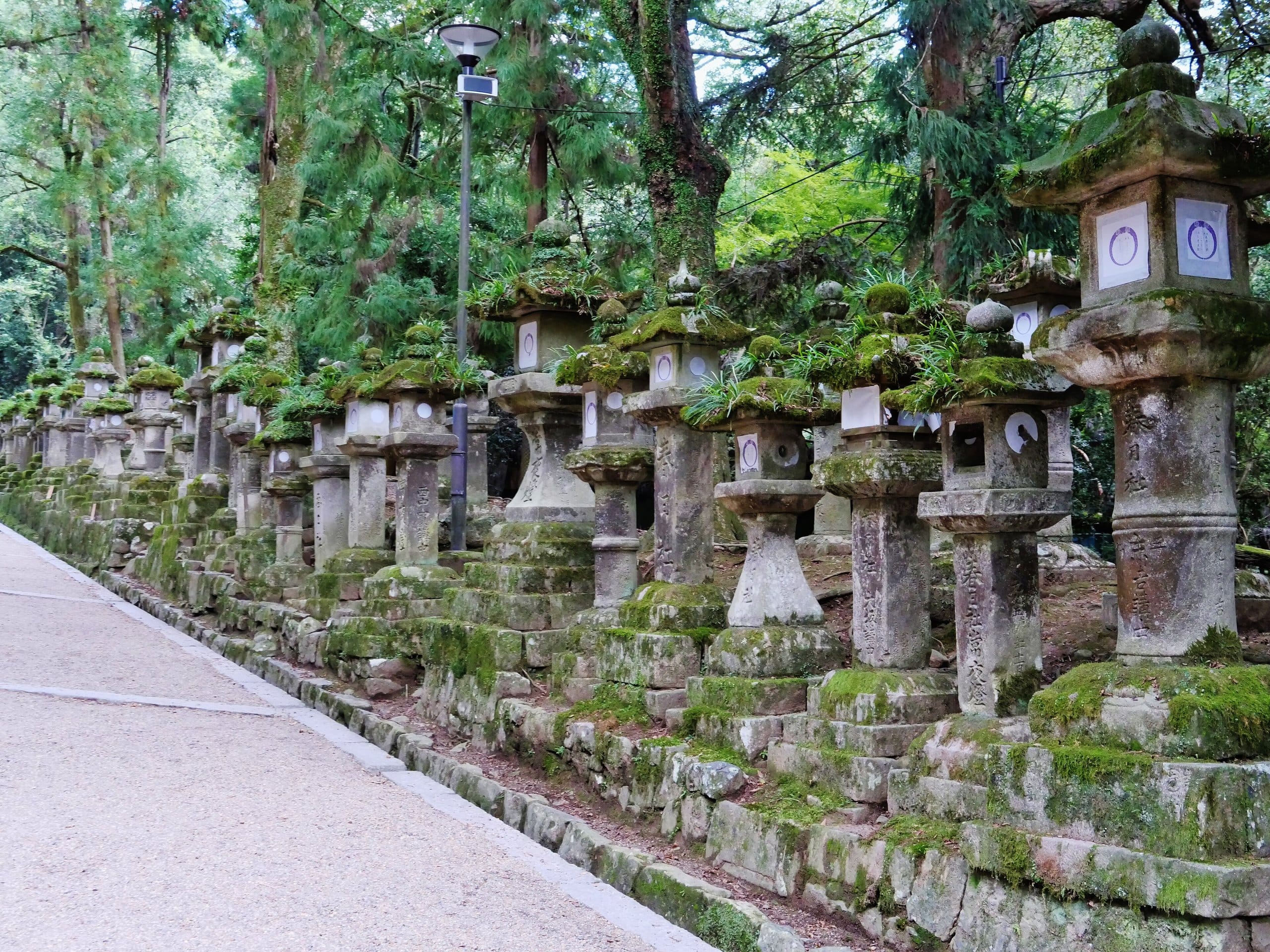 Bronze hanging lanterns along a red-latticed corridor at Kasuga Taisha