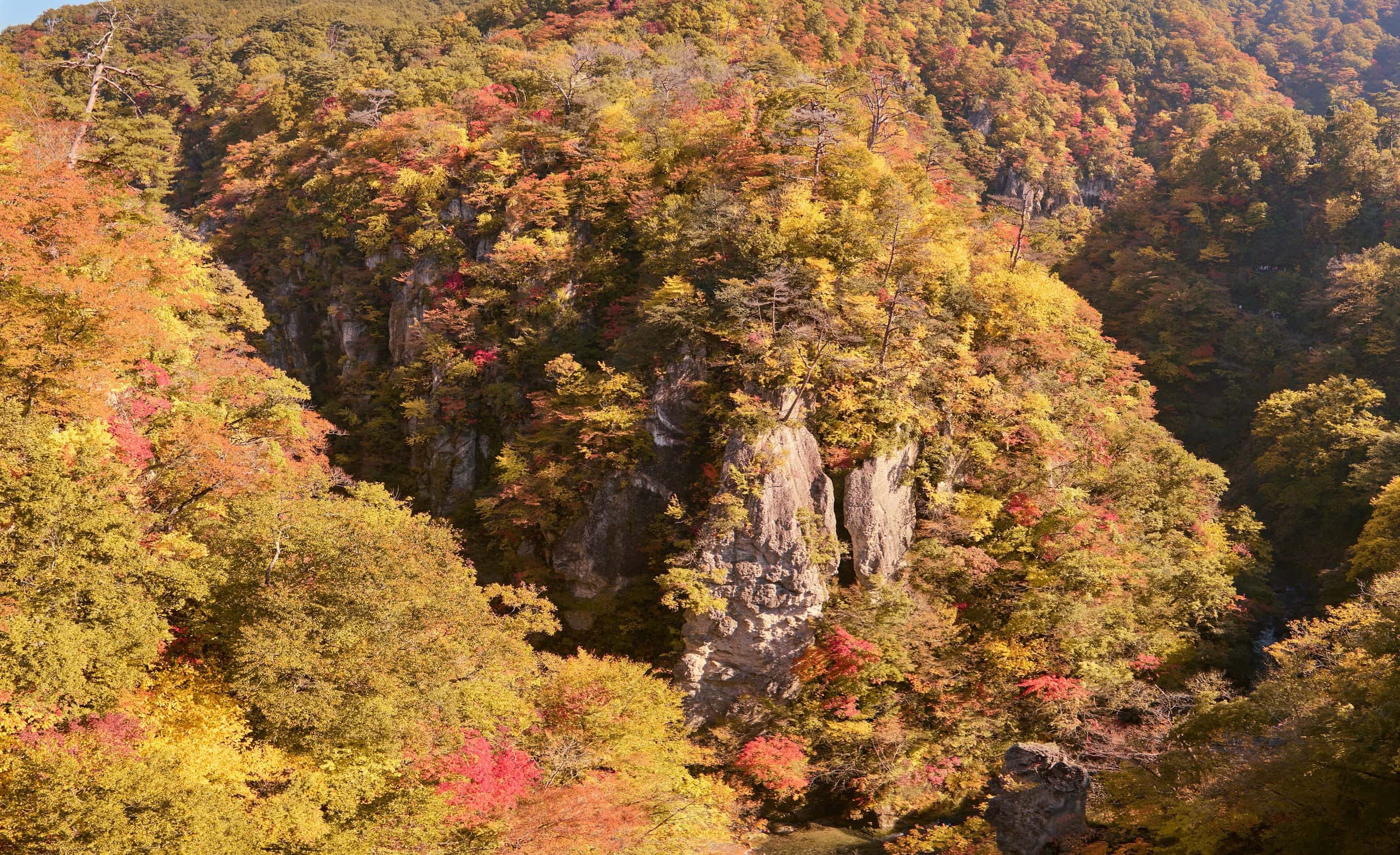 Steep rock walls of Naruko Gorge covered in autumn foliage