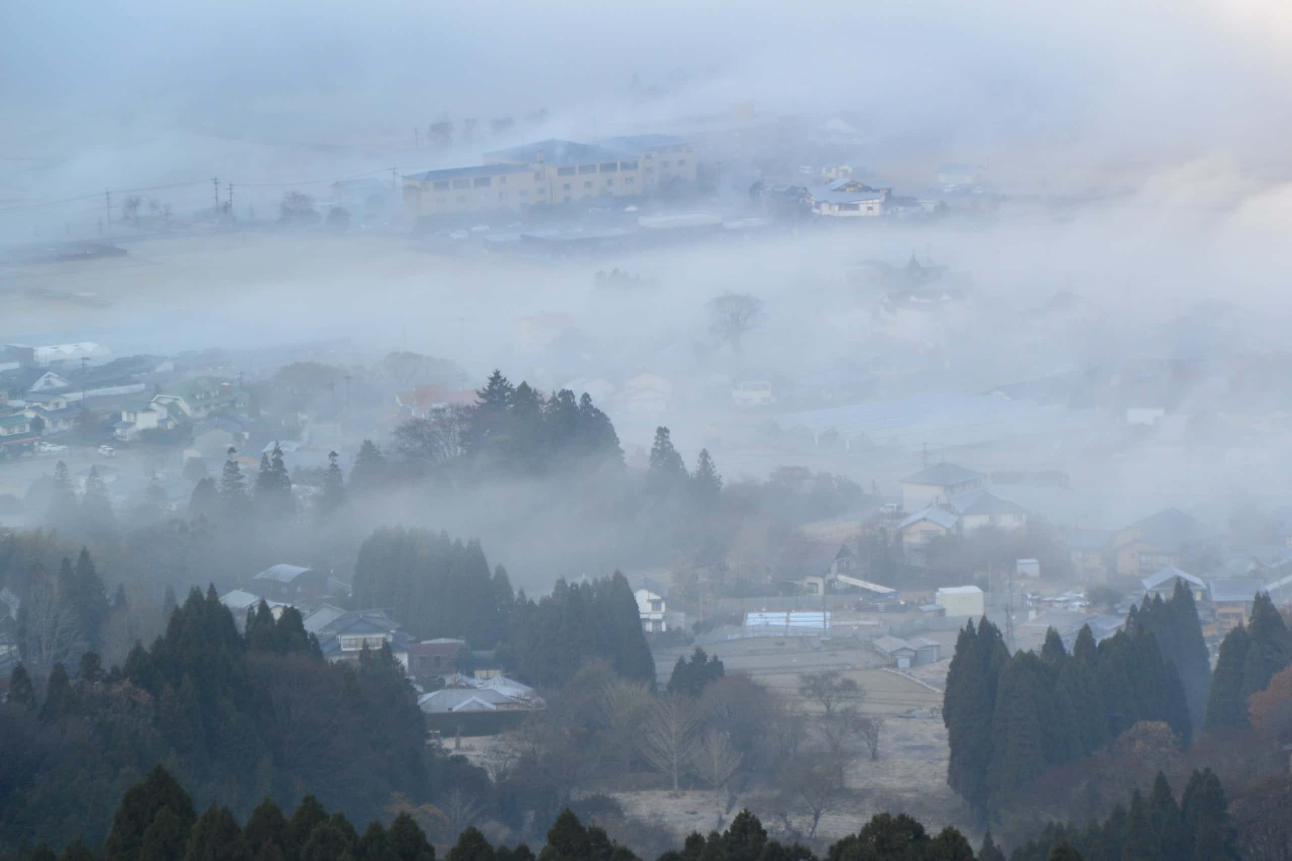 Morning fog filling the Yufuin basin with forest and rooftops emerging