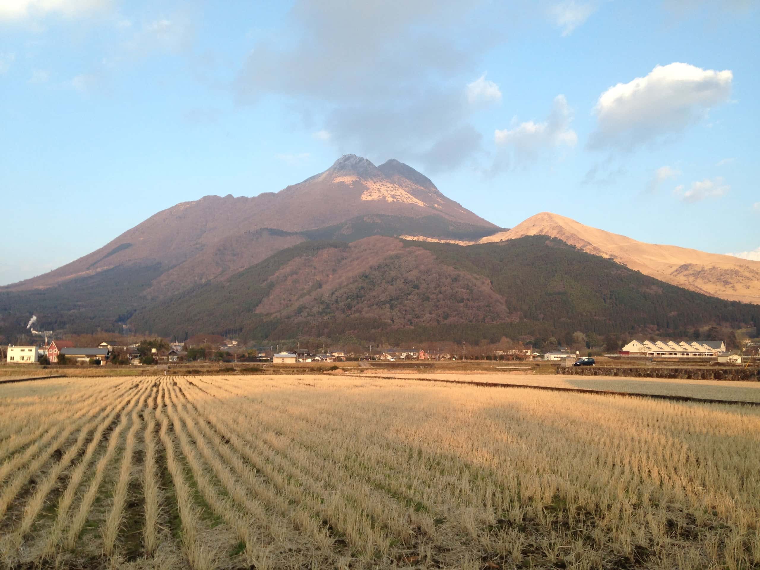 Mount Yufu glowing in low winter sun above harvested rice fields