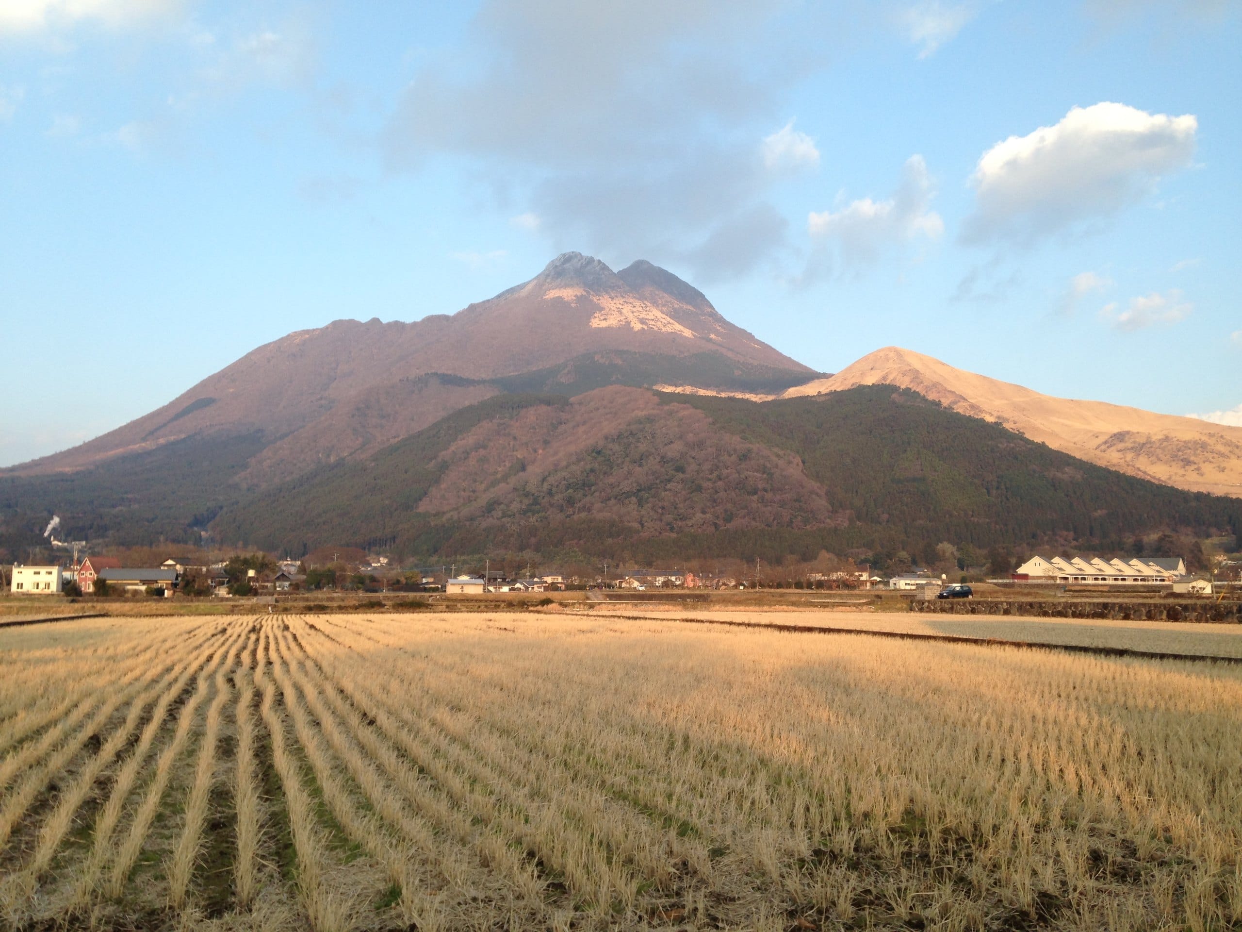 Mount Yufu glowing in low winter sun above harvested rice fields