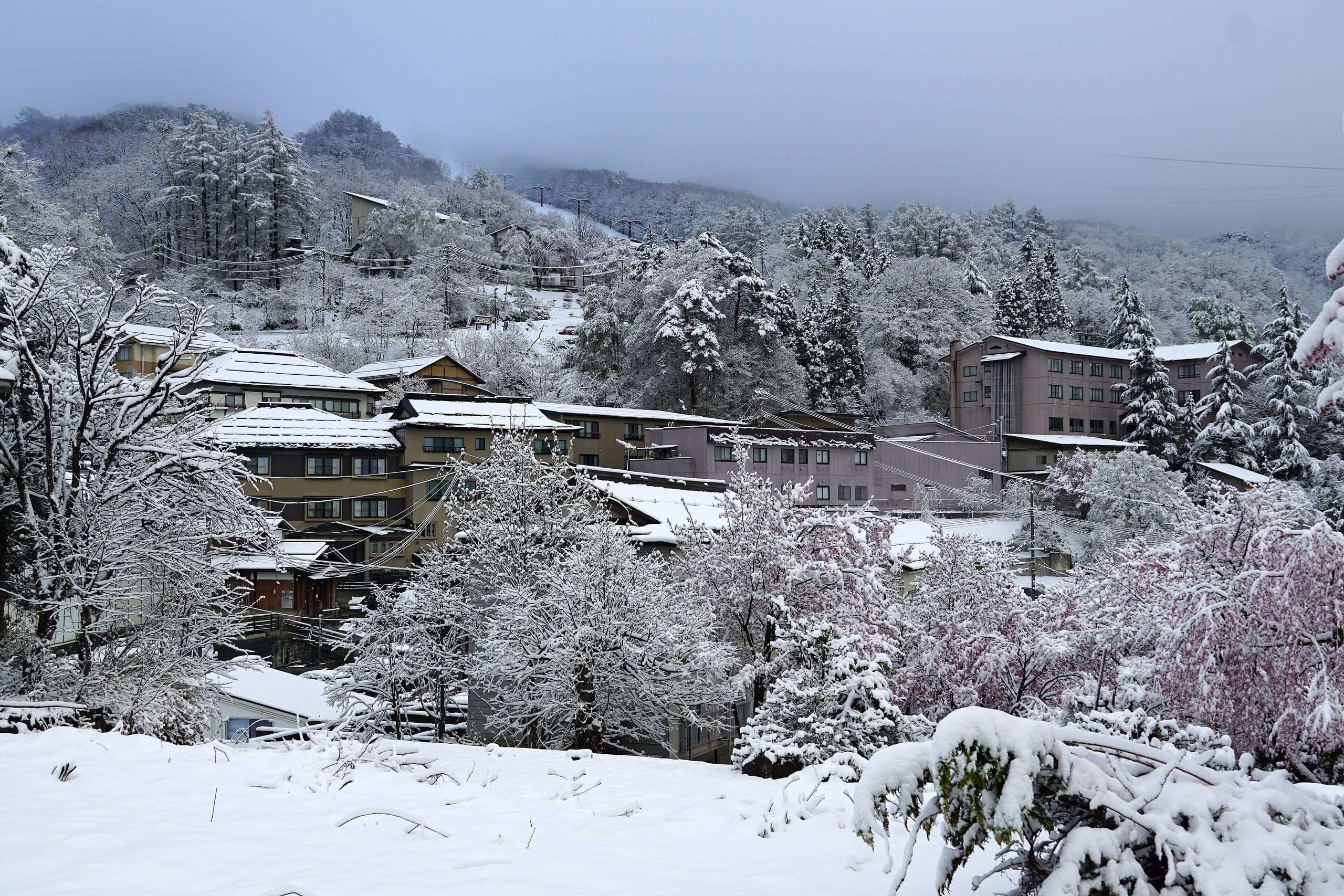Zao Onsen village houses under fresh snow among frosted trees