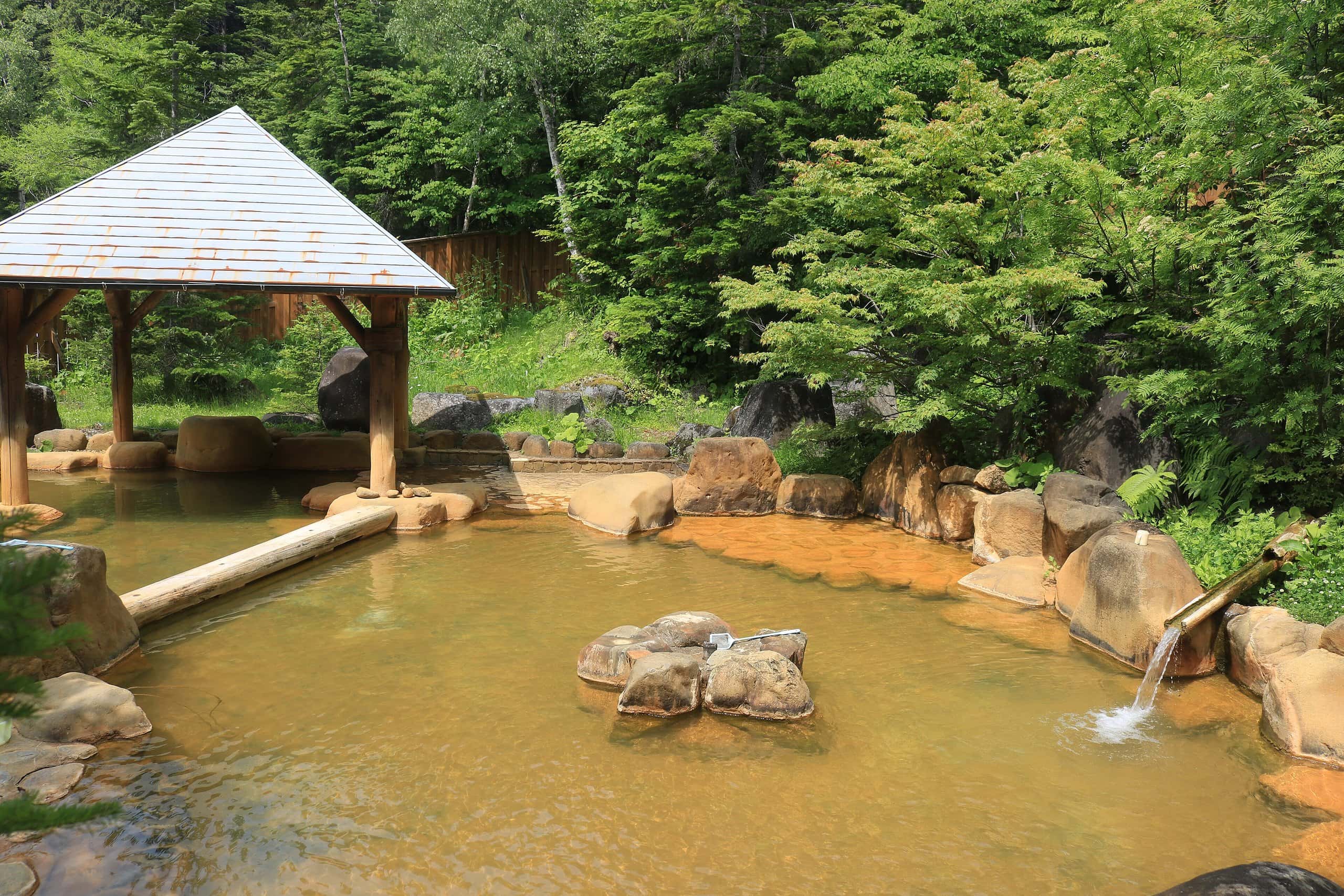An empty rock-lined open-air bath with a small roofed shelter in green forest