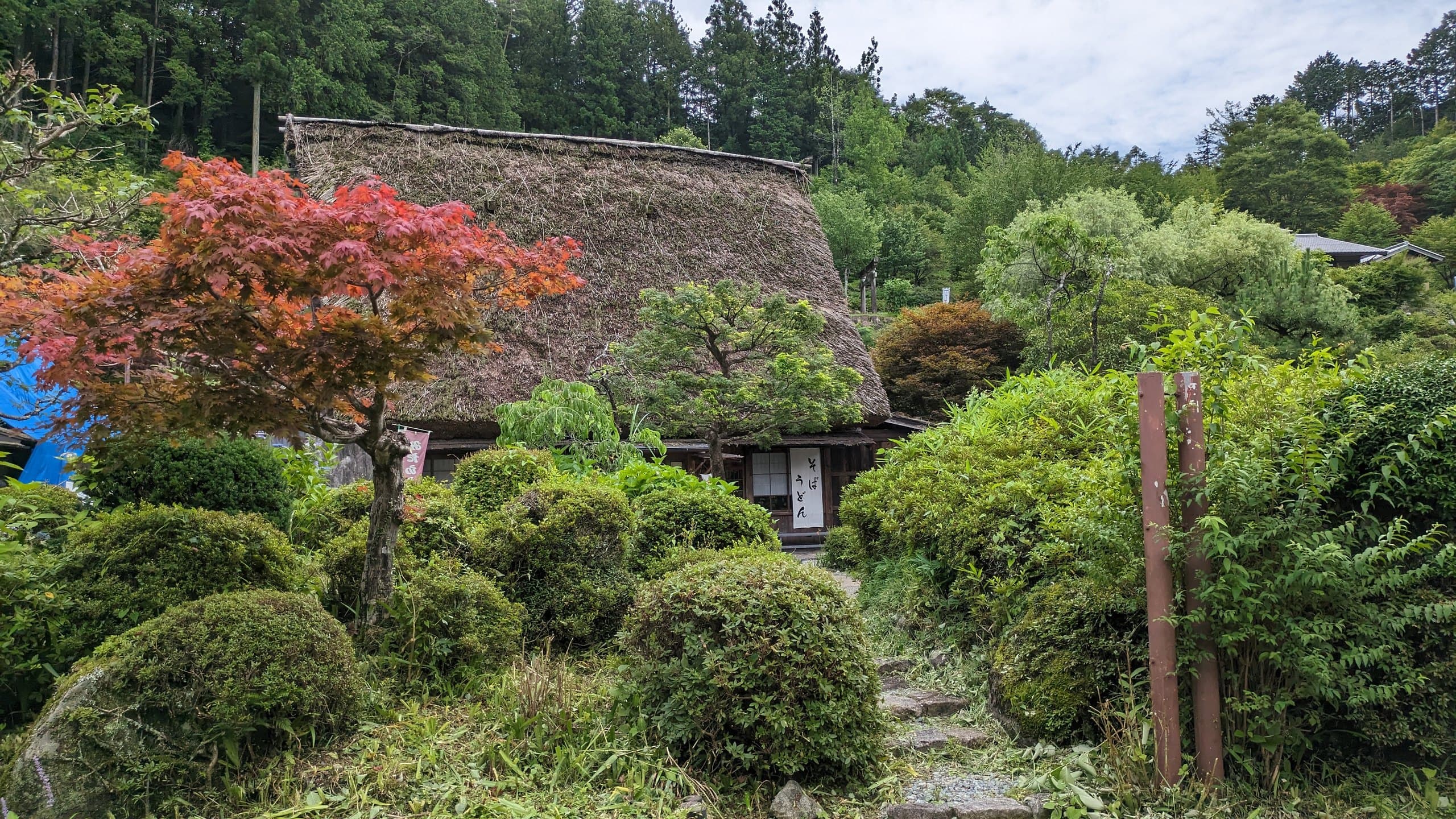 A thatched farmhouse behind a garden of clipped shrubs and a red-leaved maple at Gassho-mura